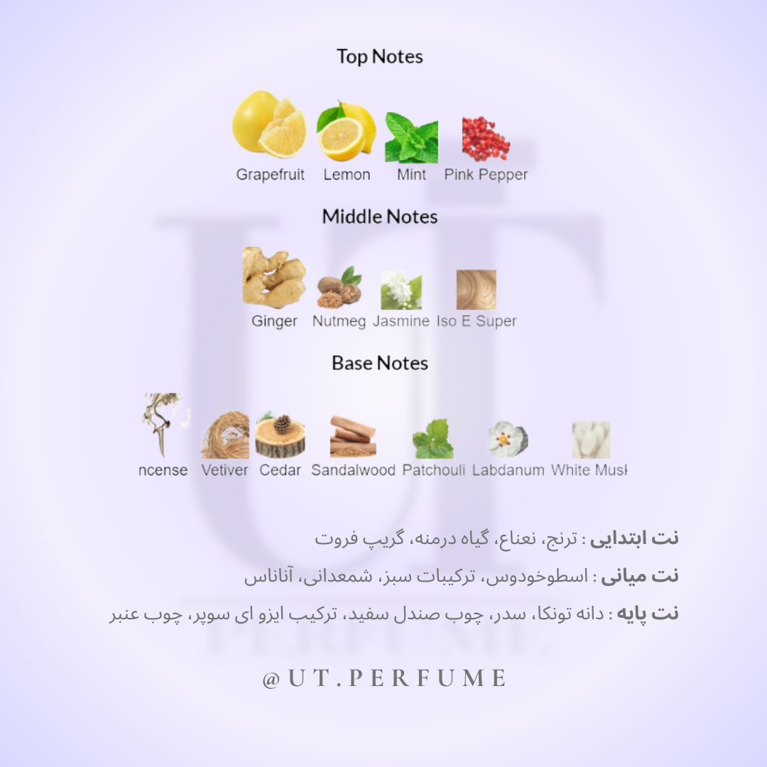 عطر شنل بلو د شنل مردانه | CHANEL - Bleu de Chanel