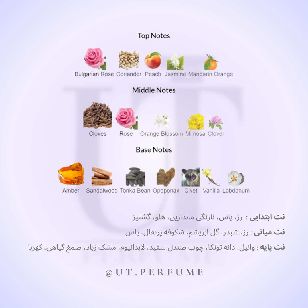 عطر شنل کوکو مادمازل-کوکو شنل زنانه | Chanel - Coco Mademoiselle