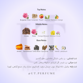 عطر شنل کوکو مادمازل-کوکو شنل زنانه | Chanel - Coco Mademoiselle