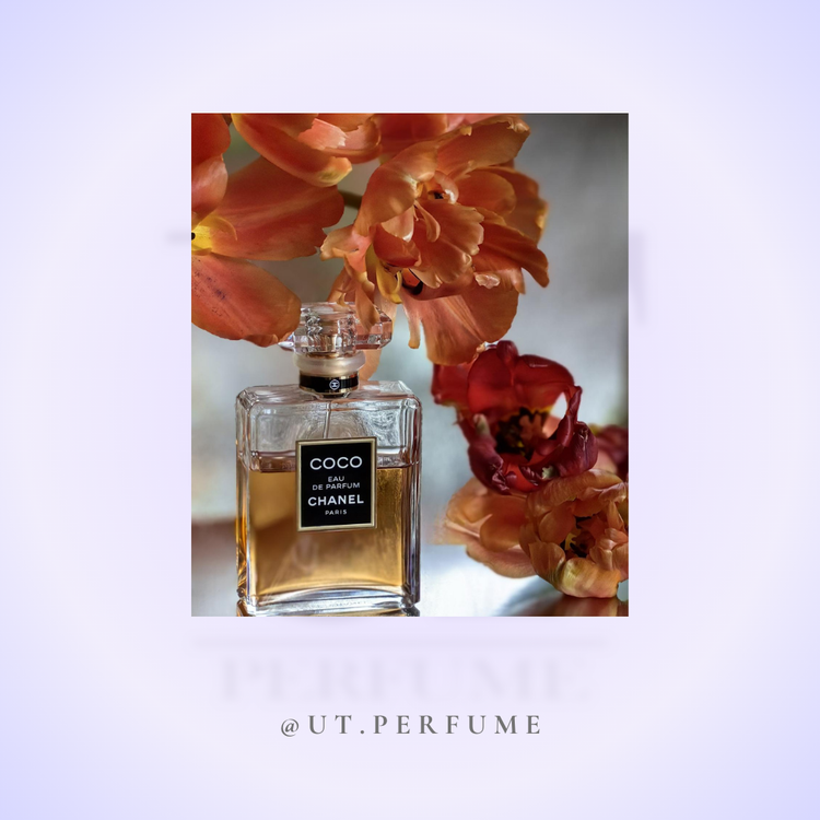 عطر شنل کوکو مادمازل-کوکو شنل زنانه | Chanel - Coco Mademoiselle