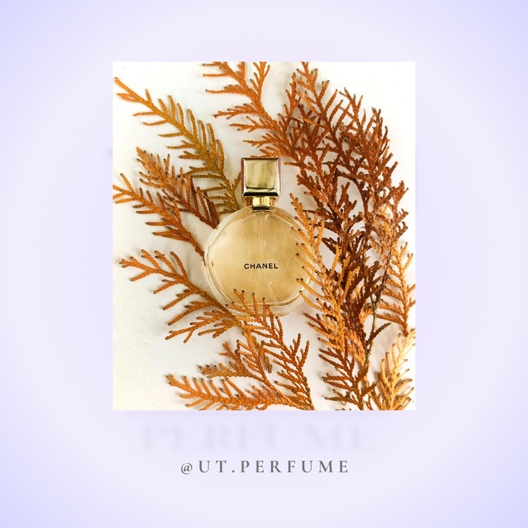عطر شنل چنس زنانه | Chanel - Chance