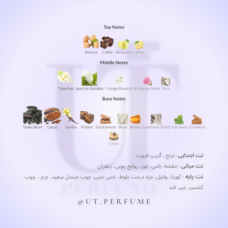 عطر کارولینا هررا سی اچ مردانه | Carolina Herrera - CH Men