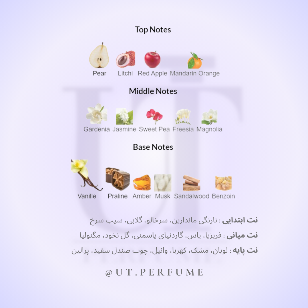 عطر سکسی لیتل نویر تیز ویکتوریا سکرت زنانه | Victoria Secret - Sexy Little Things Noir Tease