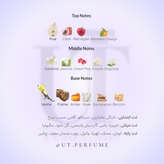 عطر سکسی لیتل نویر تیز ویکتوریا سکرت زنانه | Victoria Secret - Sexy Little Things Noir Tease