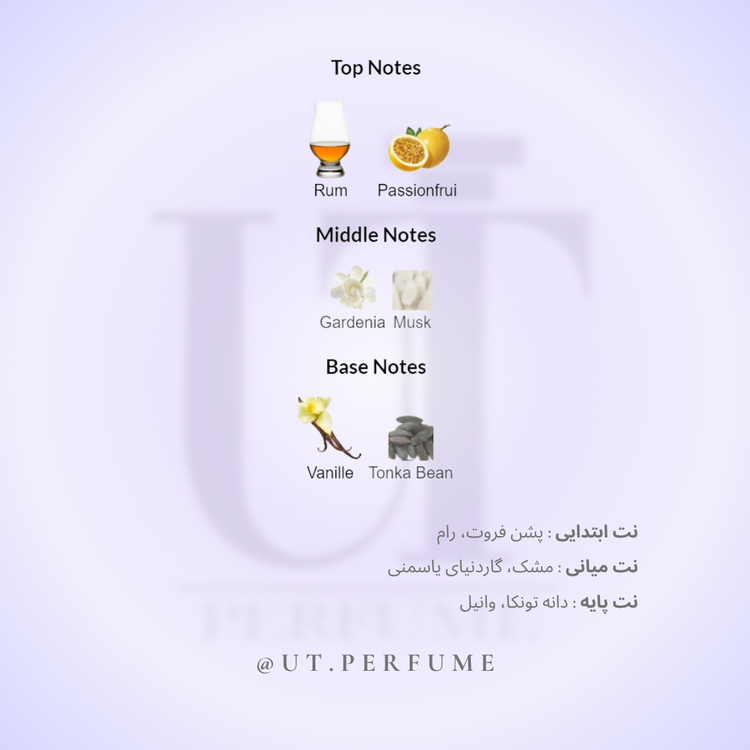 عطر کارولینا هررا ۲۱۲ وی آی پی زنانه | Carolina Herrera - 212 VIP Women