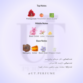 عطر کالوین کلین ایفوریا زنانه | Calvin Klein - Euphoria for Women