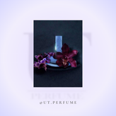 عطر کالوین کلین ایفوریا زنانه | Calvin Klein - Euphoria for Women