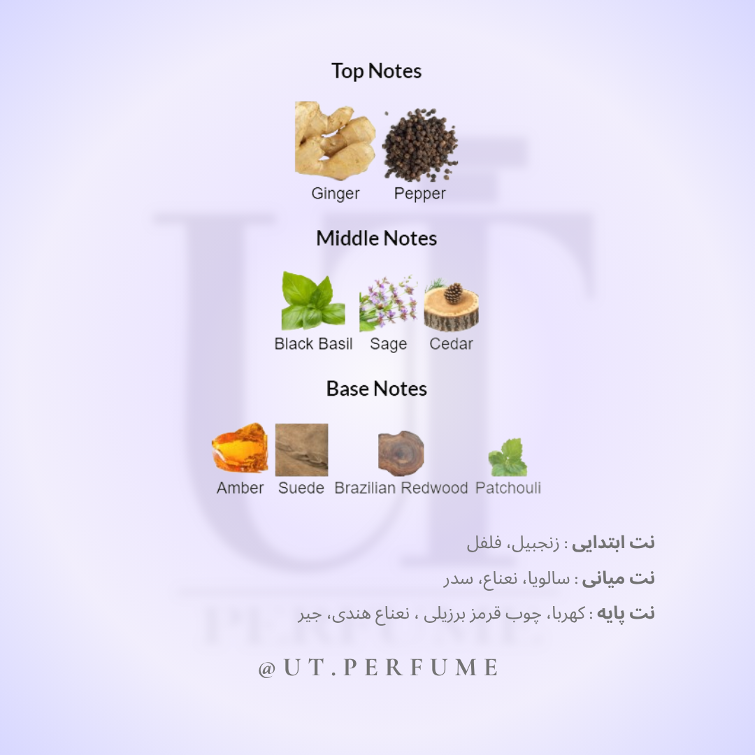 عطر کالوین کلین ایفوریا مردانه | Calvin Klein - Euphoria for Men