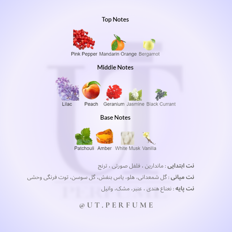 عطر گوچی گیلتی زنانه | Gucci - Guilty