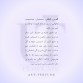 عطر گوچی گیلتی زنانه | Gucci - Guilty