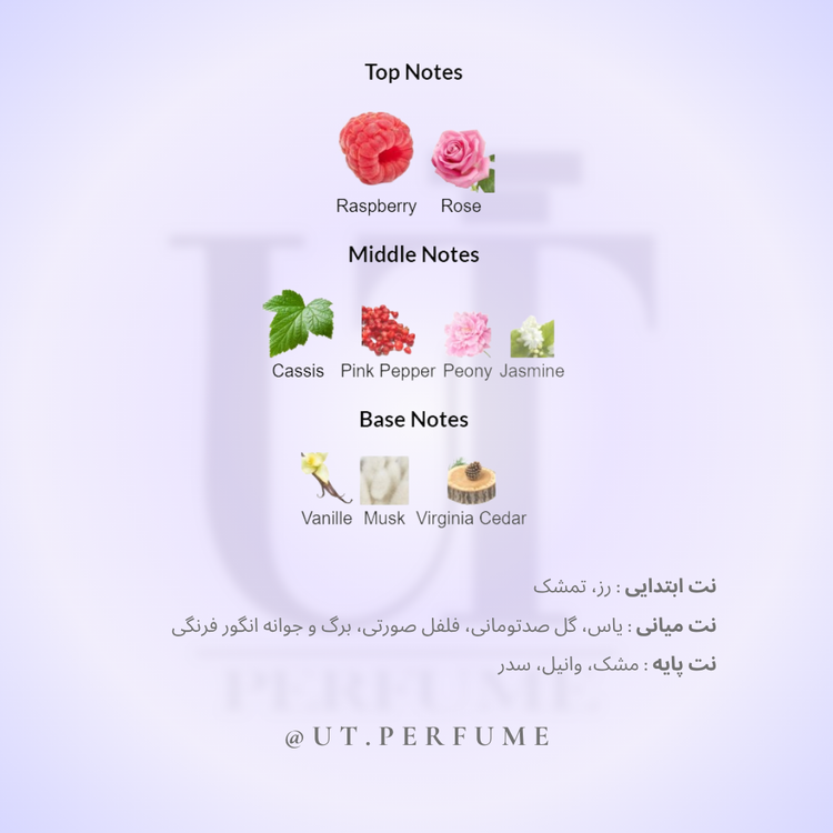 عطر لانکوم ترزور میدنایت رز زنانه | Lancome - Tresor Midnight Rose
