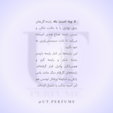 عطر لانکوم لا ویه است بله زنانه | Lancome - La Vie Est Belle