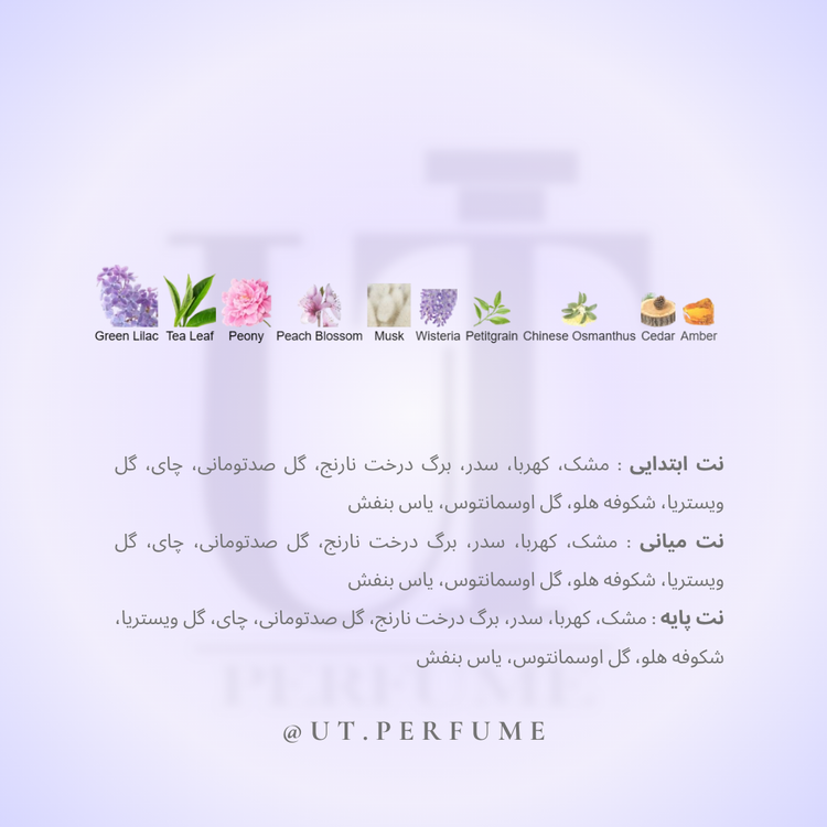 عطر لنوین اکلت زنانه | Lanvin - Eclat