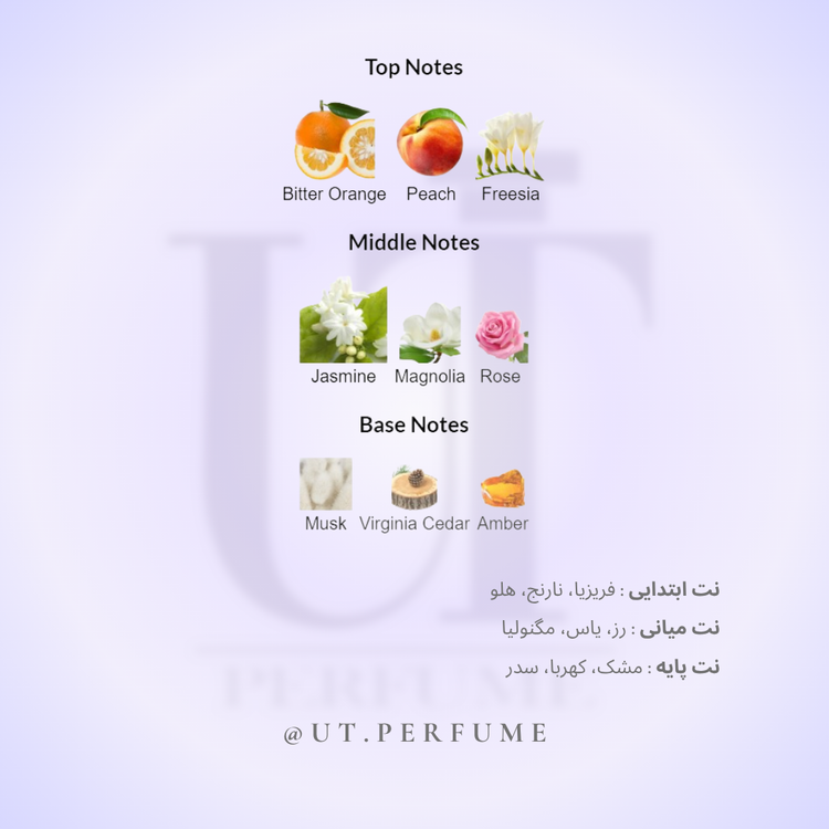 عطر لنوین مری می زنانه | Lanvin - Marry Me