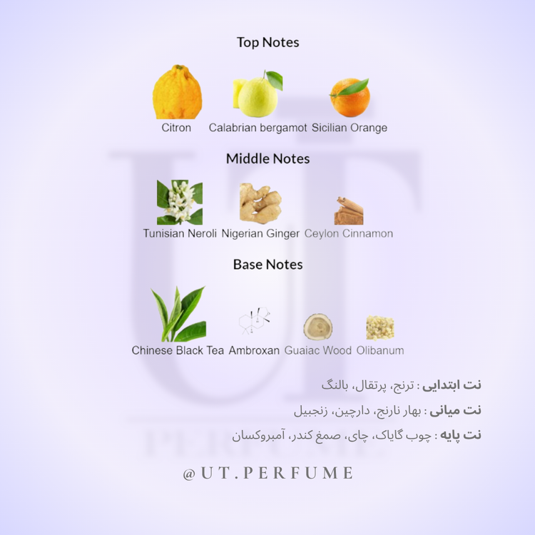 عطر لویی ویتون ایمجینیشن مردانه | Louis Vuitton - Imagination