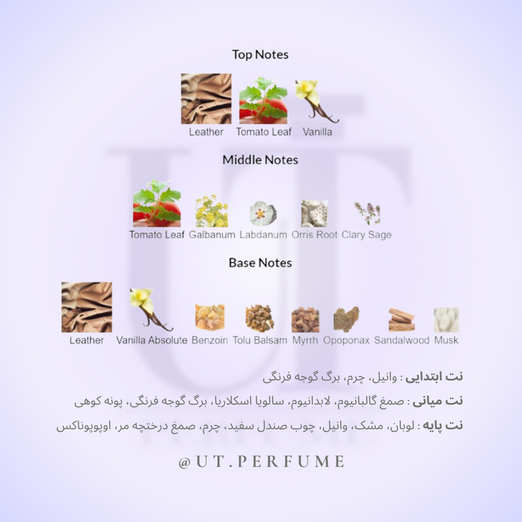 عطر ممو پاریس ایتالین لدر | Memo Paris - Italian Leather