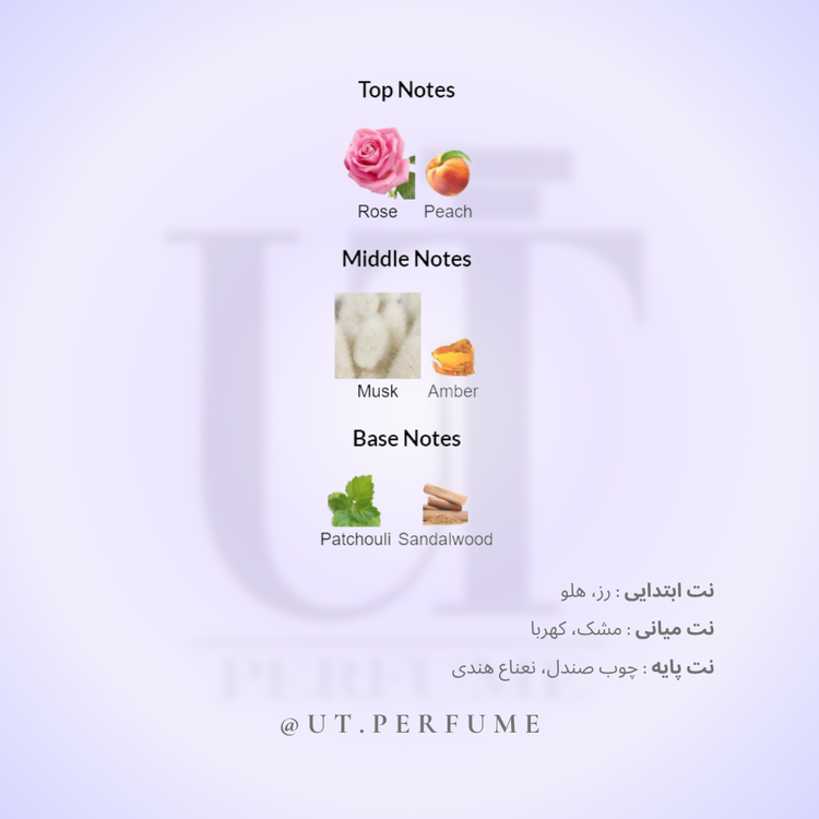 عطر نارسیسو رودریگز زنانه | Narciso Rodriguez for Her