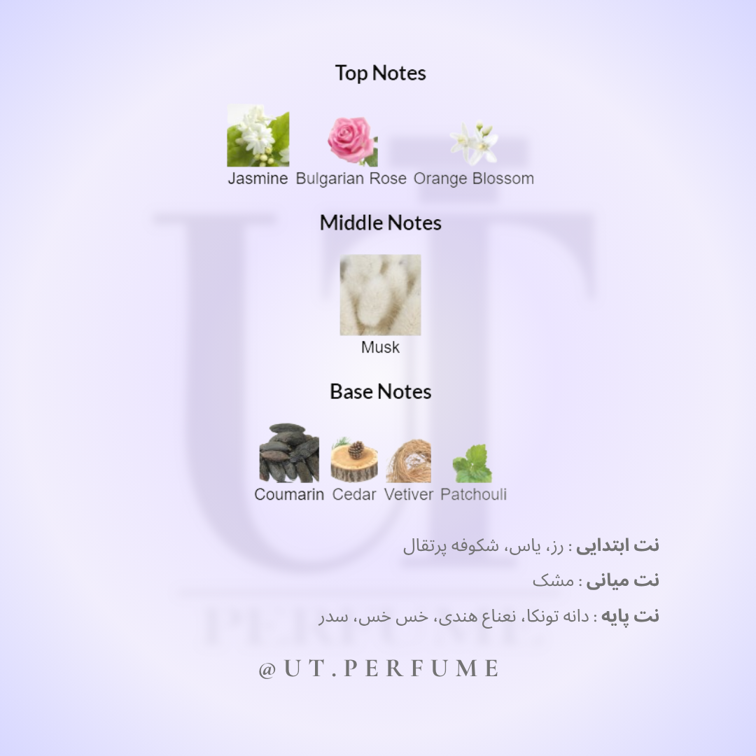 عطر نارسیسو رودریگز پودری زنانه | Narciso Rodriguez - Poudree