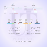 عطر ناسوماتو بلک اففان | Nasomatto - Black Afgano