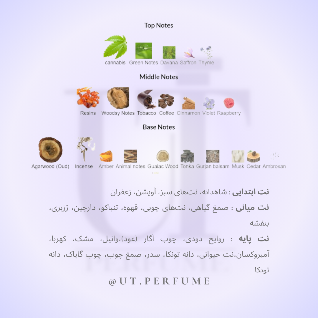 عطر ناسوماتو بلک اففان | Nasomatto - Black Afgano