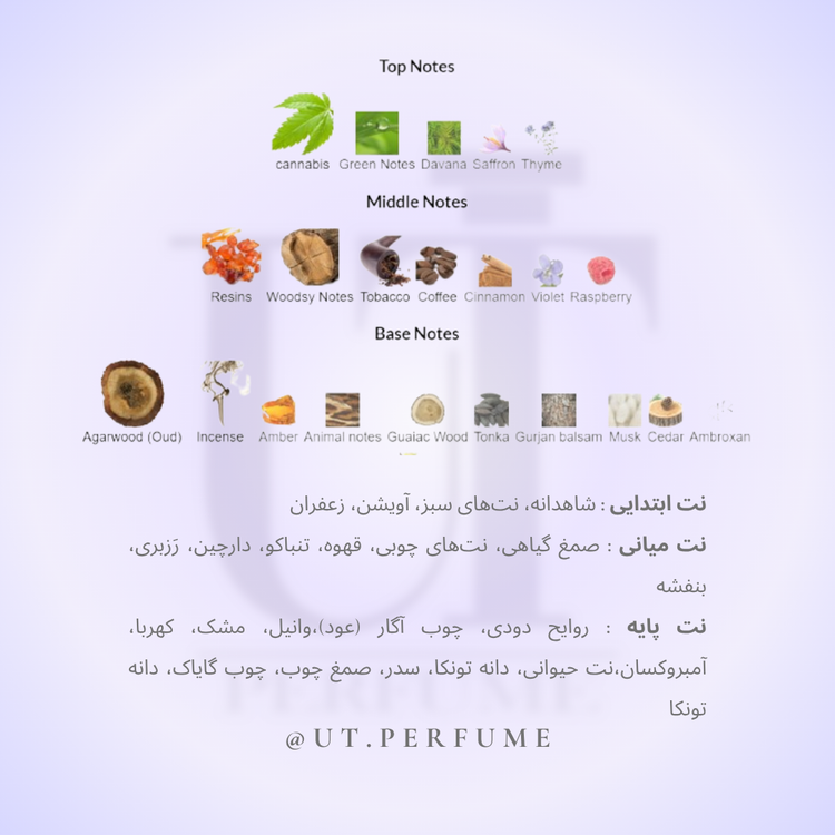 عطر ناسوماتو بلک اففان | Nasomatto - Black Afgano