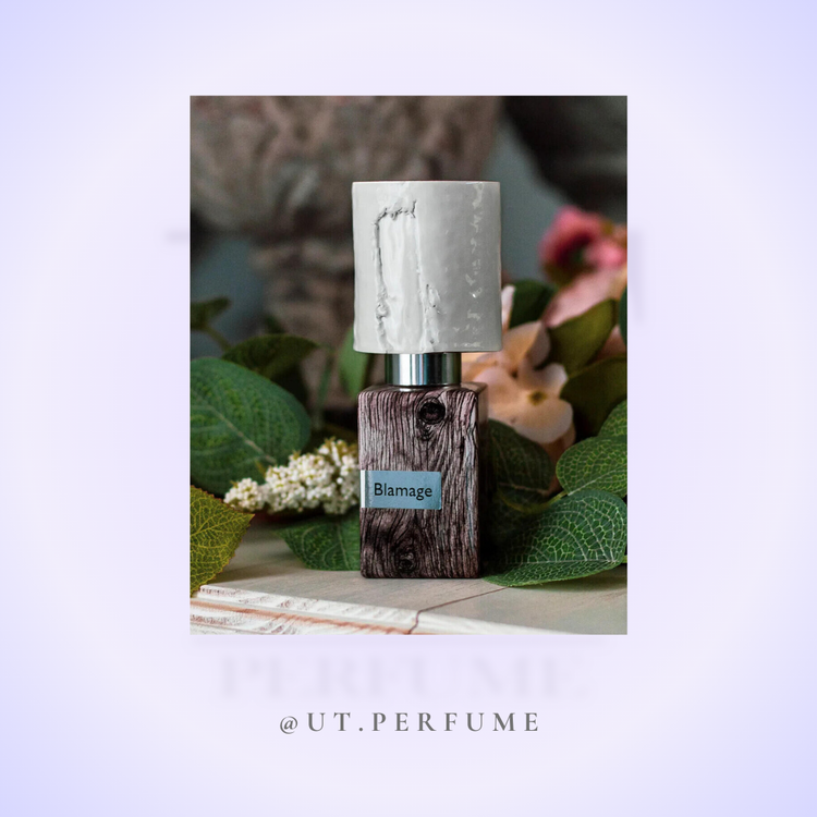 عطر ناسوماتو بلاماژ | Nasomatto - Blamage