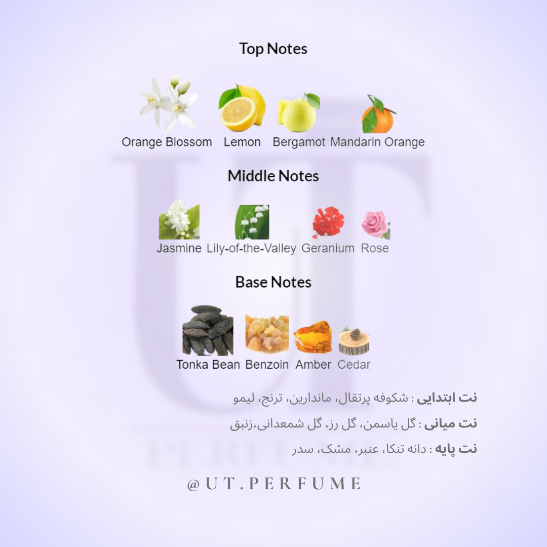 عطر نیکوس اسکالپچر هوم مردانه | NIKOS - Sculpture Homme