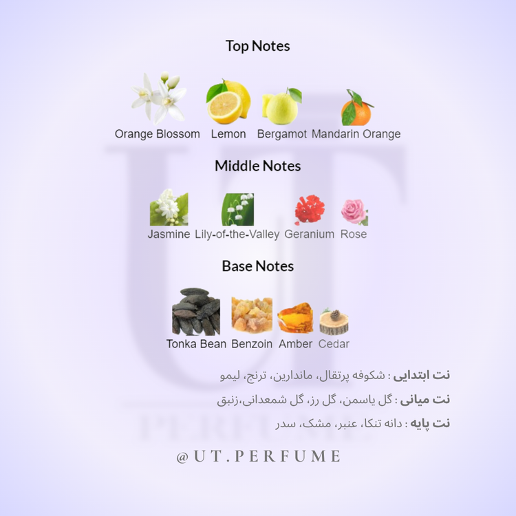 عطر نیکوس اسکالپچر هوم مردانه | NIKOS - Sculpture Homme