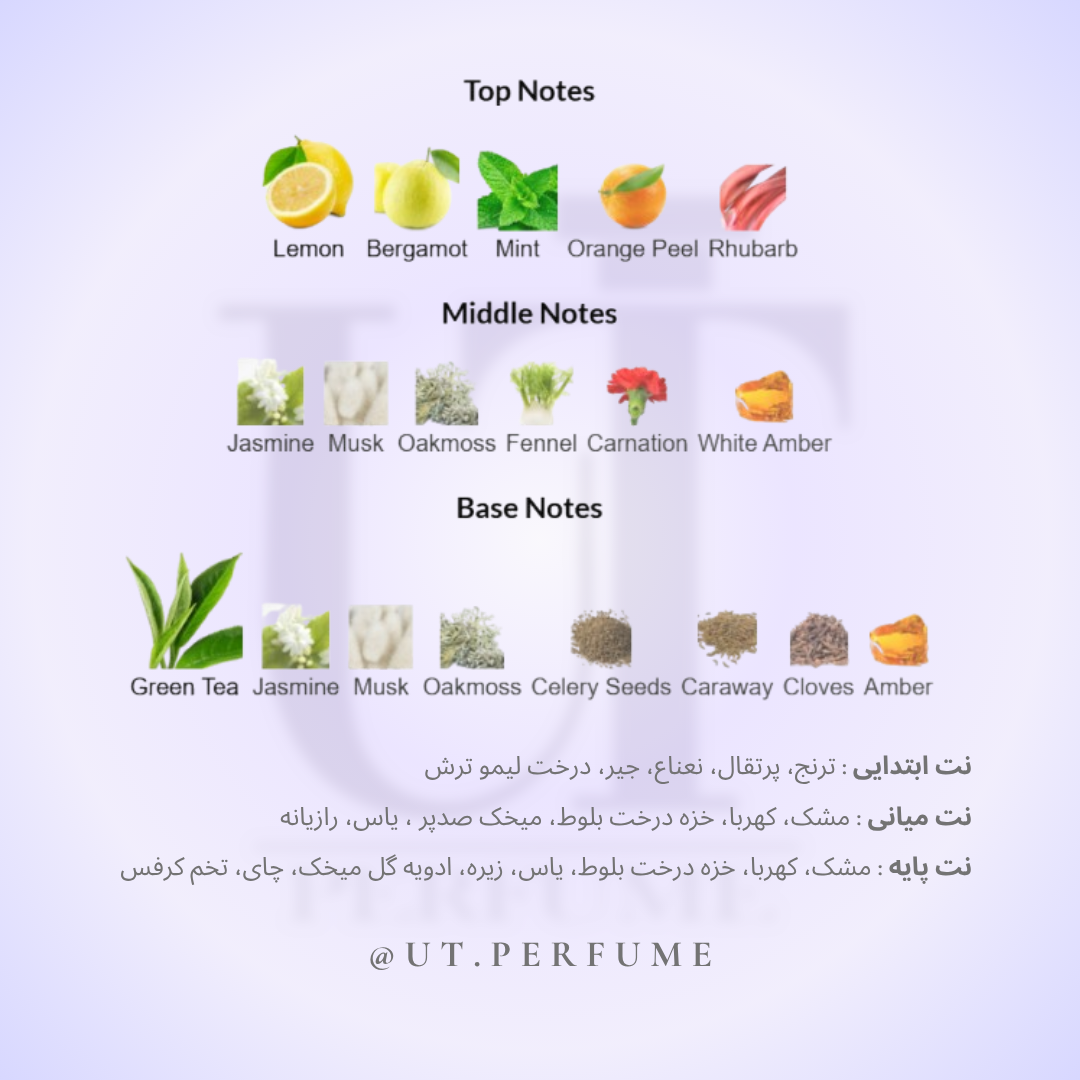 عطر الیزابت آردن گرین تی زنانه | Elizabeth Arden - Green Tea