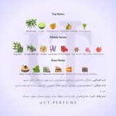 عطر ایسی میاکه لئو بلو د ایسه پور هوم مردانه | Issey Miyake L’Eau Bleue d’Issey Pour Homme