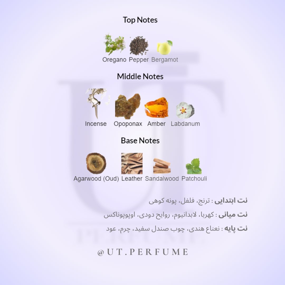 عطر آمواج اینترلود مردانه | Amouage - Interlude Man