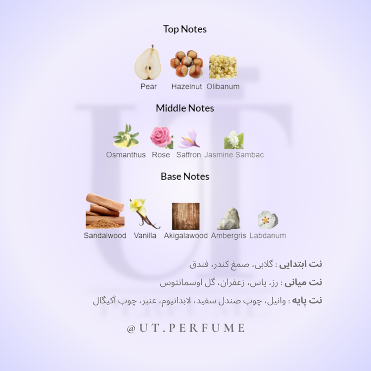 عطر آمواج گایدنس | Amouage - Guidance