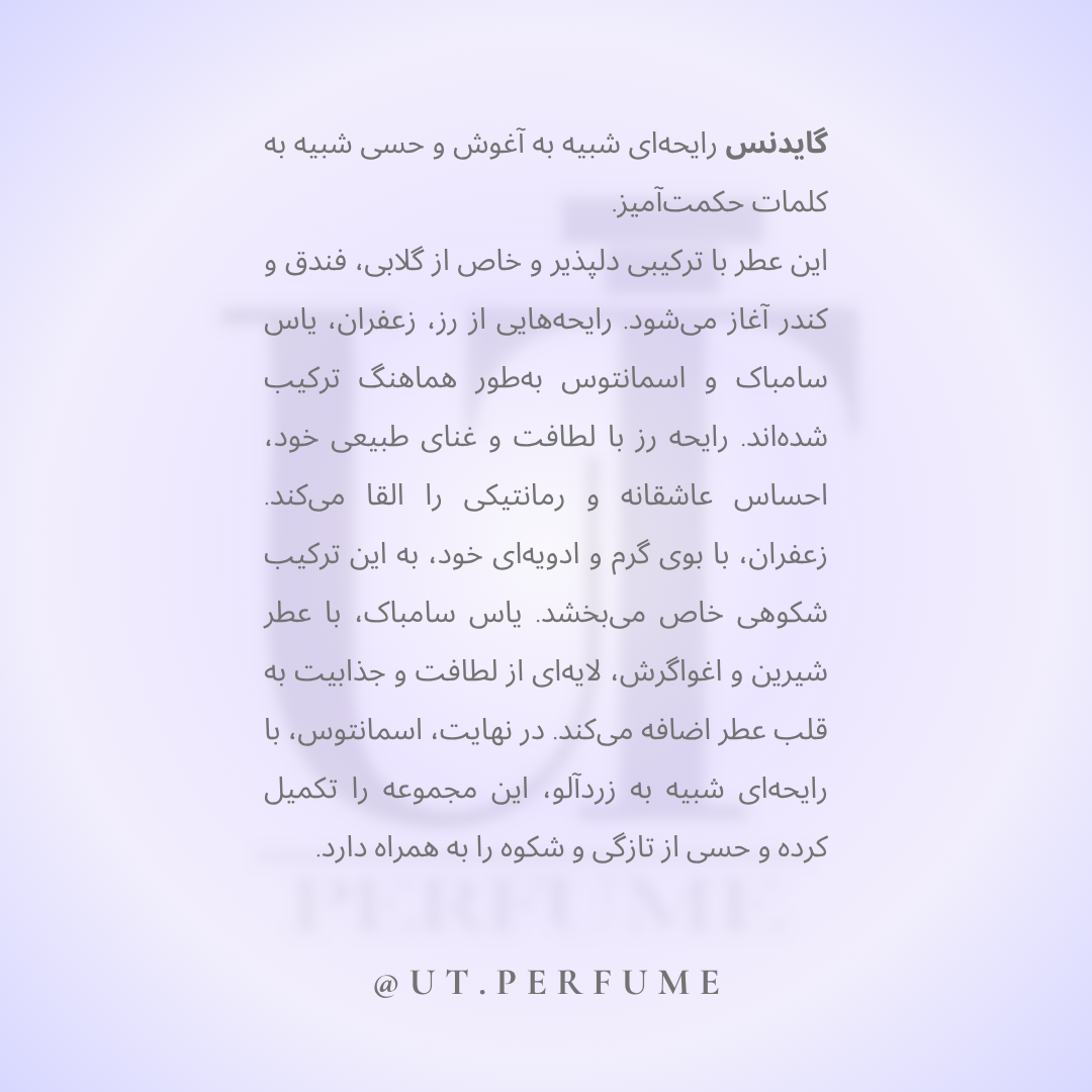 عطر آمواج گایدنس | Amouage - Guidance