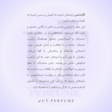 عطر آمواج گایدنس | Amouage - Guidance