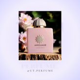 عطر آمواج گایدنس | Amouage - Guidance