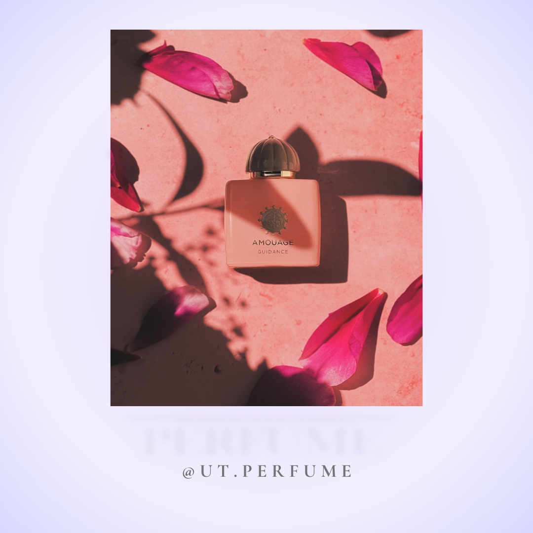 عطر آمواج گایدنس | Amouage - Guidance
