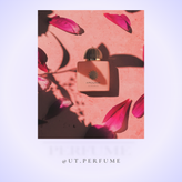 عطر آمواج گایدنس | Amouage - Guidance