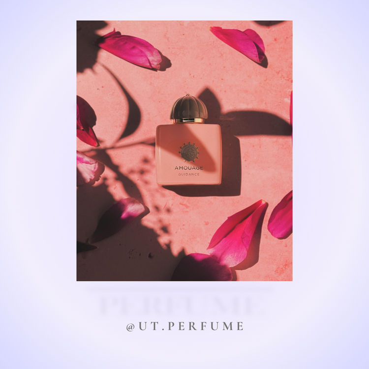 عطر آمواج گایدنس | Amouage - Guidance