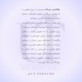 عطر آمواج رفلکشن مردانه | Amouage - Reflection man