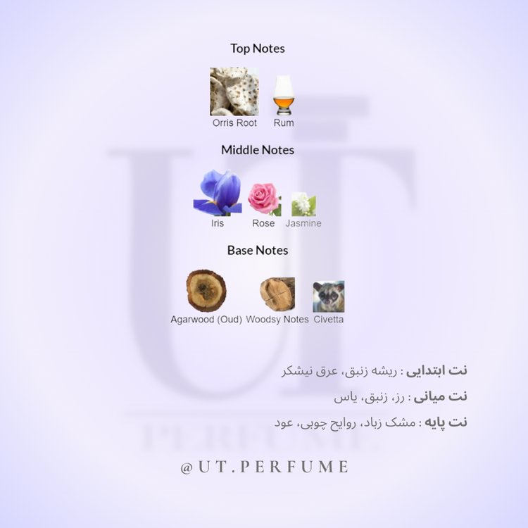 عطر آمواج اوپوس پنج | Amouage - Opus V