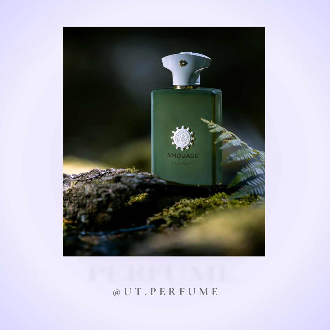 عطر آمواج پِرپِس | Amouage - Purpose