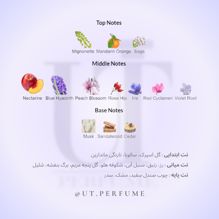 عطر باربری ویکند زنانه | Burberry - Weekend