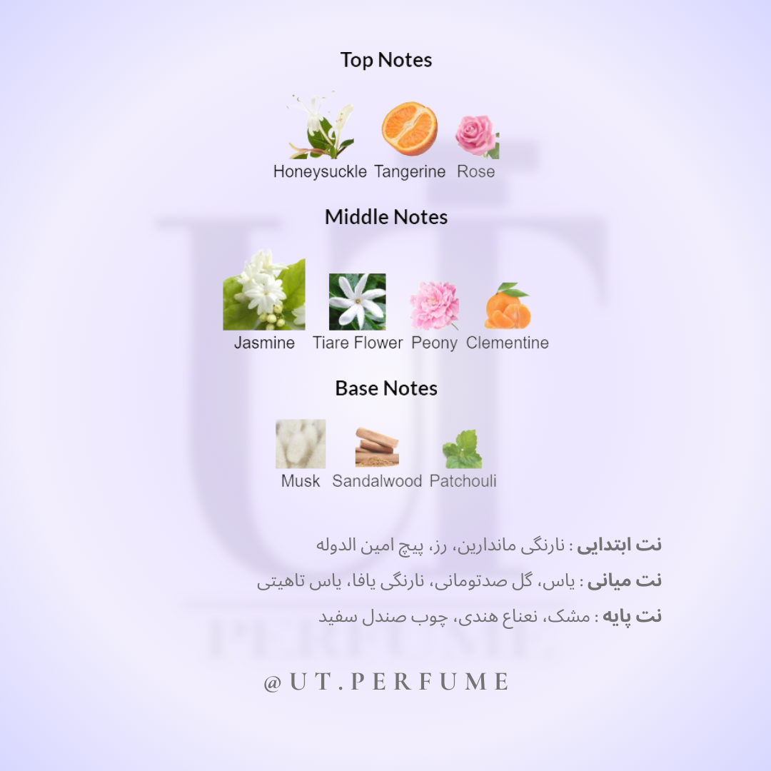 عطر باربری لندن زنانه | Burberry - London