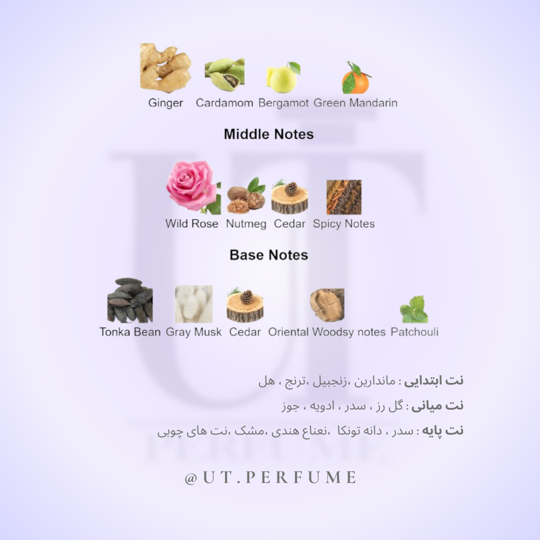 عطر باربری بریت مردانه | Burberry - Brit Men