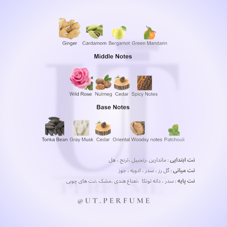 عطر باربری بریت مردانه | Burberry - Brit Men