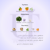 عطر بولگاری آکوا پور هوم مردانه | Bvlgari - Aqva Pour Homme