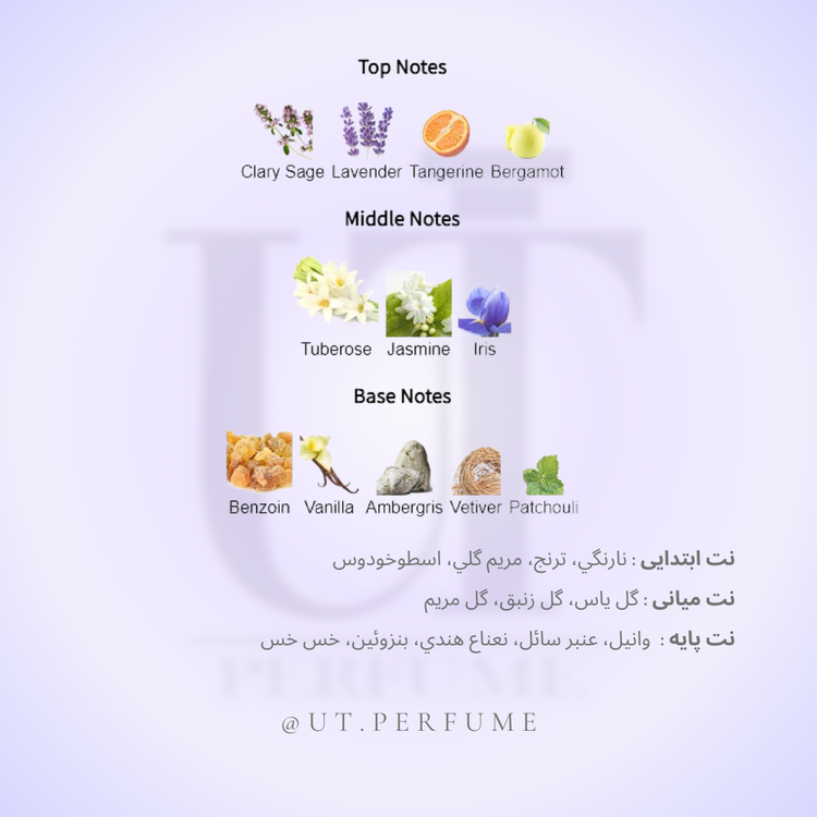 عطر مارلی سدبوری زنانه | Parfums de Marly - Sedbury