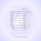 عطر مارلی گرینلی | Parfums de Marly - Greenley