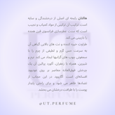 عطر مارلی هالتان مردانه | Parfums de Marly - Haltane