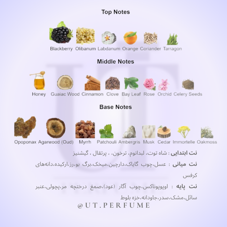 عطر آمواج جوبیلیشن مردانه | Amouage - Jubilation for Man